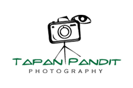 Tapan Pandit - iprogrammer.com